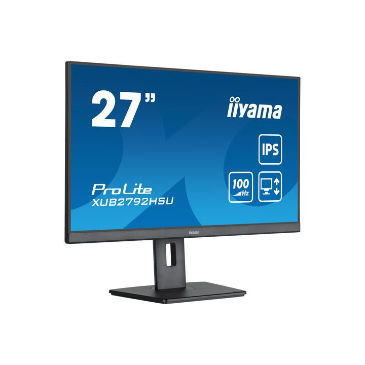 IIYAMA IPS 1H 1DP 4x3.2 100Hz
